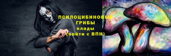 твердый Абаза