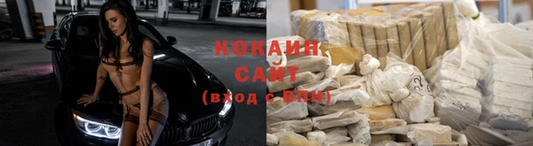 твердый Абаза