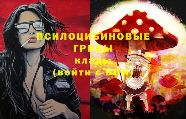 твердый Абаза
