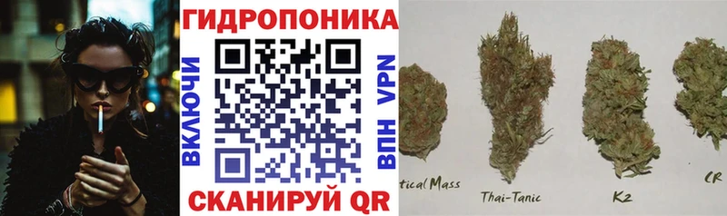 Бошки Шишки индика  Астрахань 